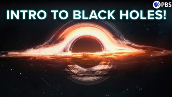 Black Holes: Cosmic Laboratories of Reality