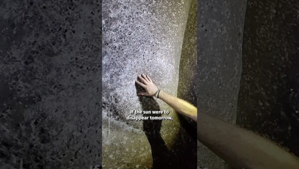 Cave Spiders Thrive on Bacteria in ‘Infinite Buffet’