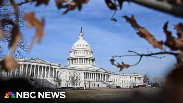 Congress Divided: Reactions to Iran Military Action Emerge