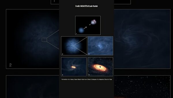 Cosmic Mystery Solved? Direct Collapse Black Holes Found