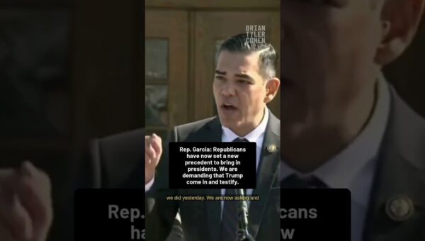 Democrat Demands Trump Testimony on Epstein Files