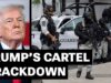 El Mencho's Death: Why Trump's Cartel Crackdown May Fail to Disrupt Mexico's Drug Trade