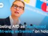 German Court Blocks Intel Agency’s “Extremist” Label on AfD