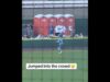 Kiermaier’s Wall-Leaping Catch Steals Extra Bases!