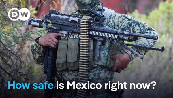 Mexico’s Cartel Violence: Is the Situation Truly Escalating?