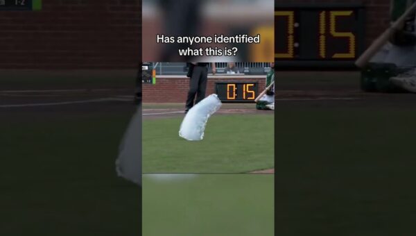 Mystery Object Halts Play in Bizarre Infield Incident