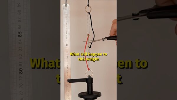 Mystery of the Rising Weight: A Physics Puzzle Solved