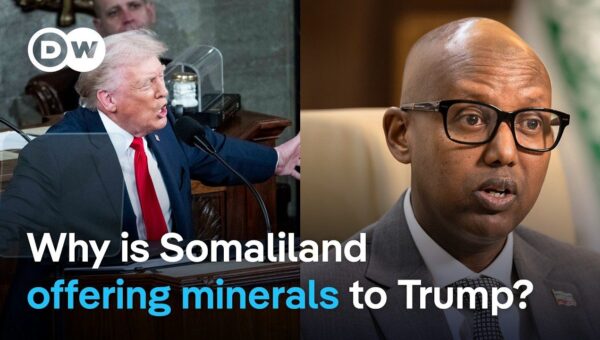 Somaliland Offers Minerals, Bases for U.S. Recognition