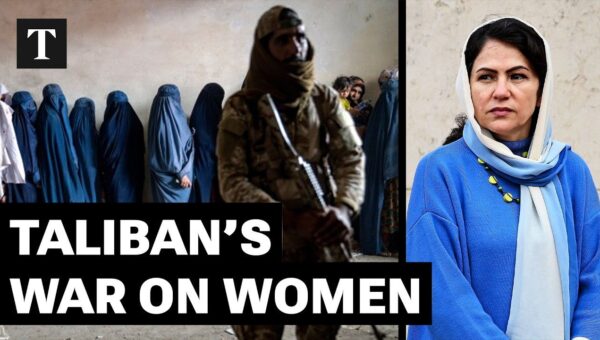 Taliban Penal Code Values Animals Over Women, Ex-Politician Claims