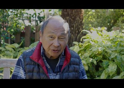 The Rise of Strongman Rule: How America’s ‘Vetocracy’ Fuels Trumpism and Democratic Decline