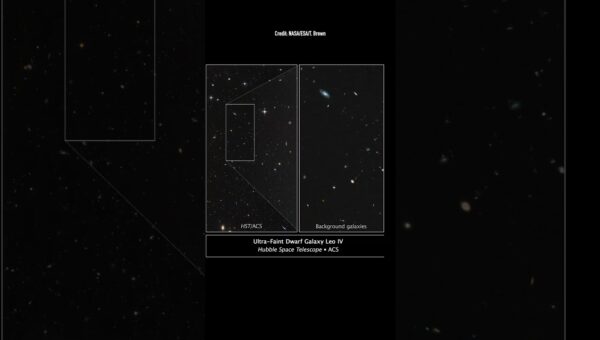 Two Trillion Galaxies: Unveiling the Universe’s True Scale