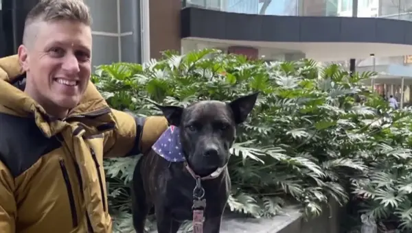 AI Creates Custom Cancer Vaccine for Beloved Dog