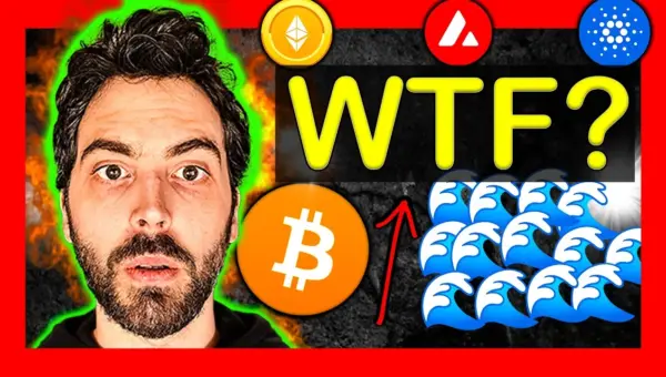 Bitcoin Surges as Institutions Embrace On-Chain Future