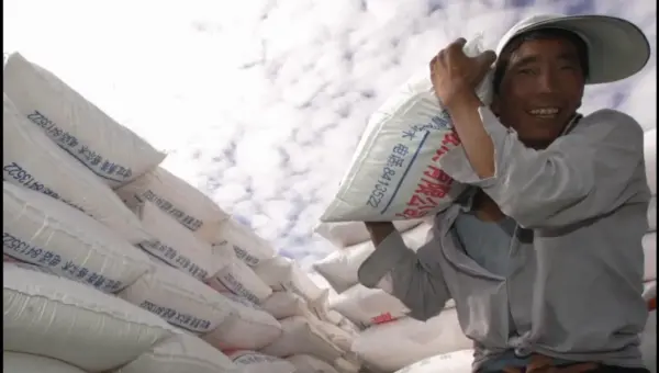 China Hoards Fertilizer, Risking Global Food Security