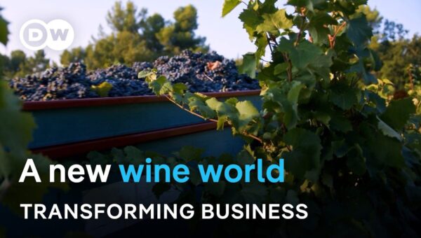 Climate Change Rewrites Global Wine Map