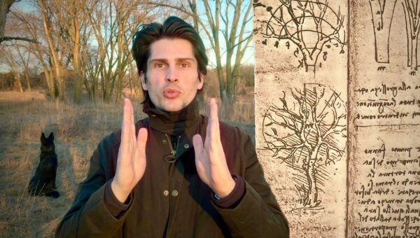 Da Vinci’s Tree Rule: A Lesson in Perception