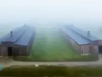 Dark Tourism: Sites of Tragedy, Temples of Terror