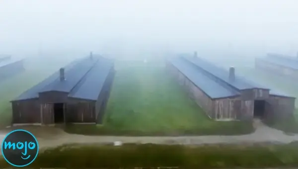 Dark Tourism: Sites of Tragedy, Temples of Terror