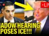 Democrats Convene "Shadow Hearing" to Scrutinize Trump Administration's ICE Policies Amidst Allegations of "Terror"
