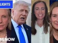 Democrats Score Big Wins, Trump Policies Face Backlash