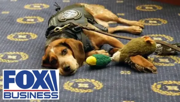 Dems Block Animal Abuser Act, Sparking Fierce Debate