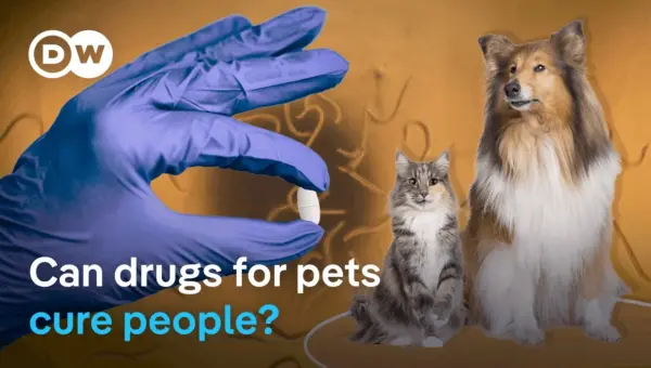 Dog Drug Shows Promise for Human Health Crisis