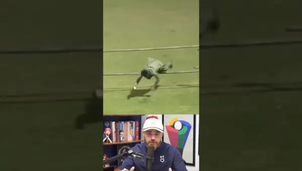 Fan Leaps Fence for INSANE Catch, Steals Show