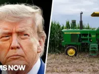 Farmers Seek Market Access Over Bailouts Amid Crisis