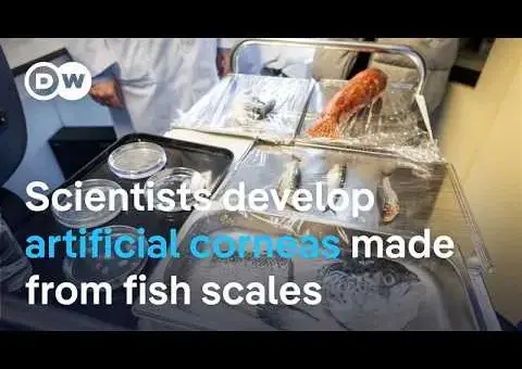Fish Scales Become Artificial Corneas in Promising New Tech