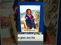 From Bumblebee to Broadway Dreams: A Star’s Hilarious Journey