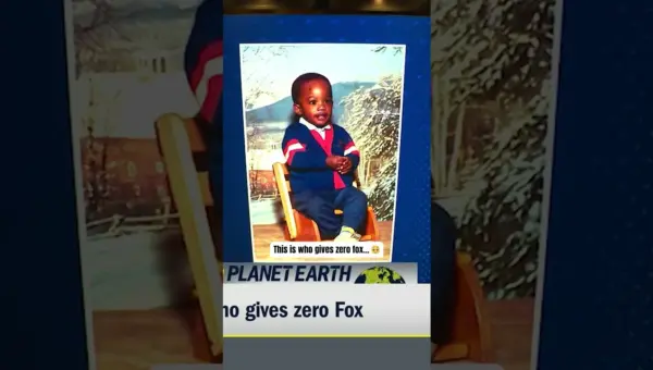 From Bumblebee to Broadway Dreams: A Star’s Hilarious Journey