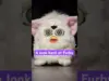 Furby: The Terrifying Toy That Defined a Generation