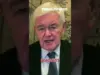 Gingrich: Democrats Hold Country Hostage in ‘Phony’ ICE Funding Fight