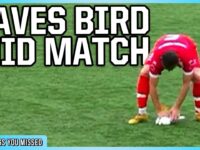 Goalie’s Seagull Mishap Leads to Bizarre Soccer Championship Win