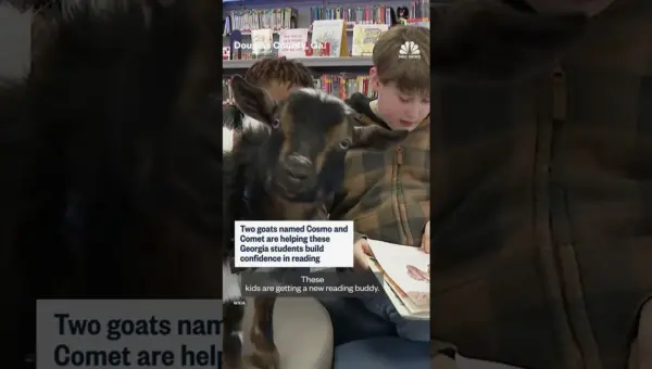 Goats Become Reading Buddies for Children