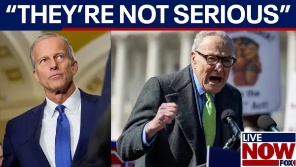 GOP Slams Democrats on Election Integrity, Demands Voter ID