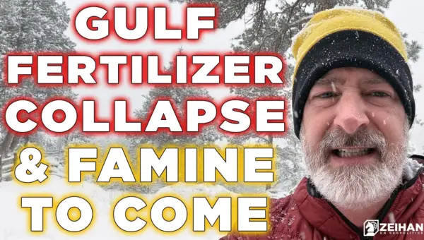 Gulf Tensions Spark Global Food Crisis Fears