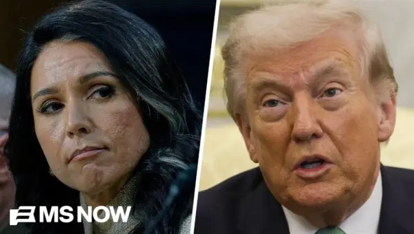 Intel Chief’s Iran War Briefing Claims Spark Congress Probe