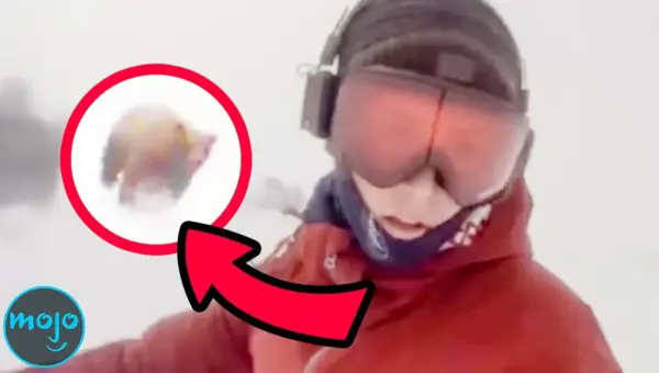 Internet Fooled! Viral Videos Exposed as Elaborate Hoaxes