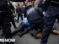 ISIS-Inspired Attack Foiled in NYC; Suspect Watched Propaganda