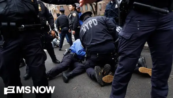 ISIS-Inspired Attack Foiled in NYC; Suspect Watched Propaganda