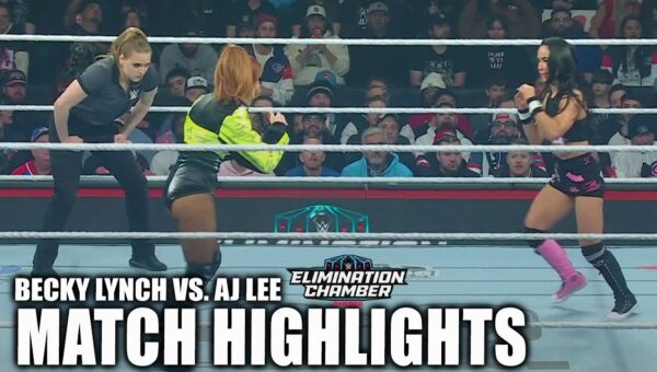 Lynch and Lee Clash in Elimination Chamber Classic
