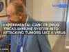 New Drug Tricks Immune System to Fight Cancer Like Virus