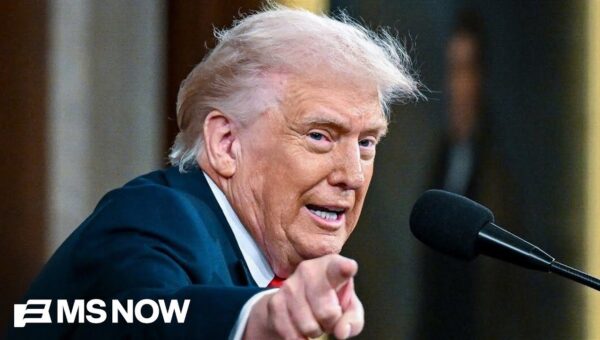 Oil Trade Disrupted: Ships Idle as Iran Conflict Sparks Price Fears