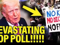 Polls Show GOP Slipping as Wisconsin Court Race Highlights Democracy Battle