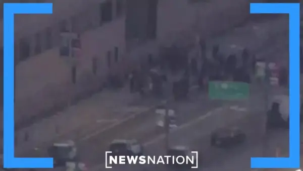 Protests Surge Against Trump Policies Nationwide