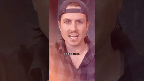 Ranger’s Terrifying Encounter: Who Watched from the Woods?