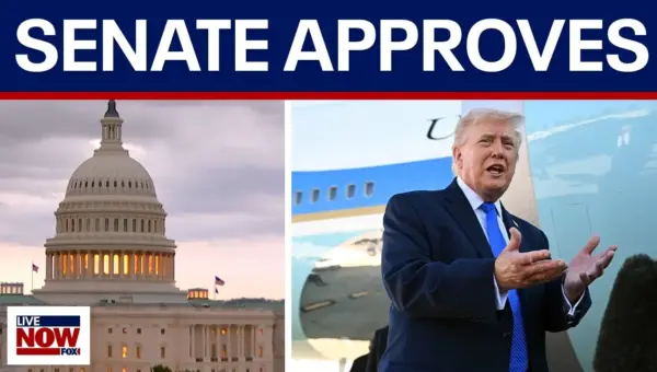 Senate Approves DHS Funds, Excludes ICE and CBP