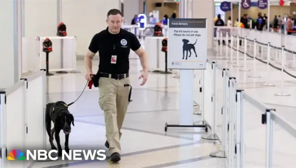 Senate Funds DHS, Easing Airport Chaos: What’s Next?