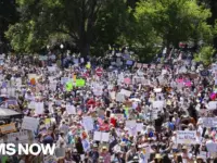 Snyder: Democracy Demands Citizen Action, Not Passive Hope